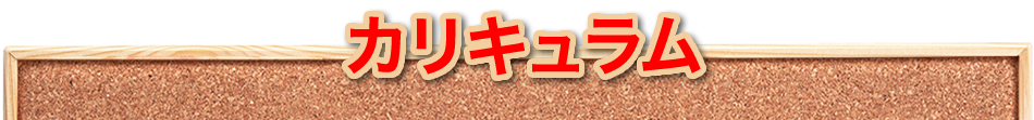 カリキュラム