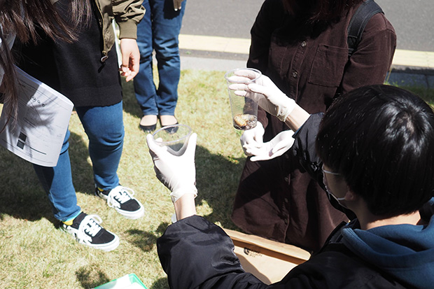 カブトムシの幼虫を虫かごに入れます「思っていたより大きい・・！！」悲鳴？があがったグループも