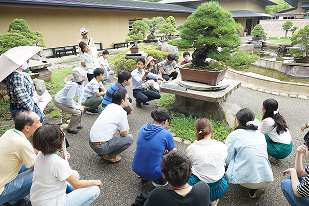 「大宮盆栽美術館を訪れる」では学芸員のかたによる作品の解説を聞くことができました