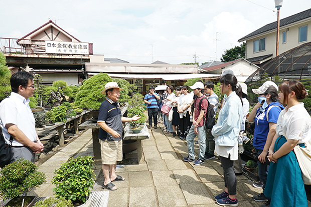 盆栽村フィールドワーク：盆栽園のかたに貴重なお話を伺いました