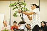 19_18bonsai_DSC00683.JPG