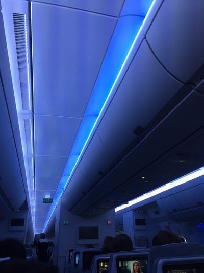 機内の様子。時間によってライトがオレンジになったり、青空模様になったり。