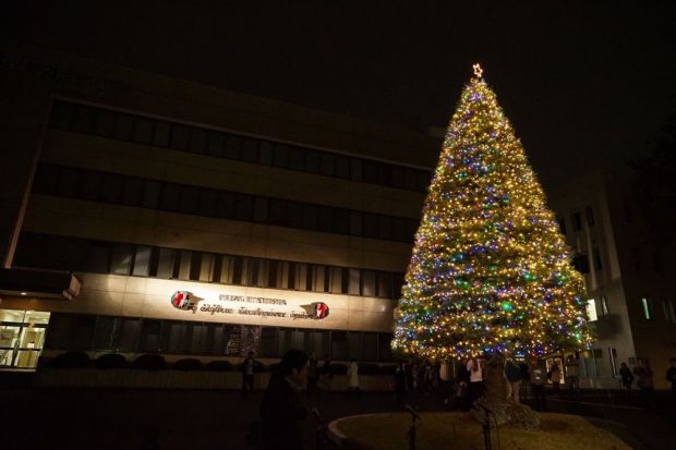 大学キャンパス図書館前のツリーにはイルミネーションが灯りました