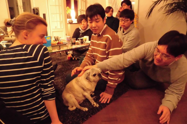 Linnarinneさん宅には愛犬が３匹いました。ワンちゃんを介して国際交流が進みました！