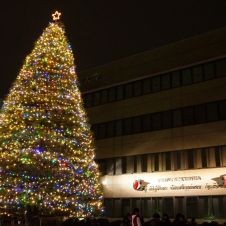 11月24日 LIVE配信！聖学院大学クリスマスツリー点火祭