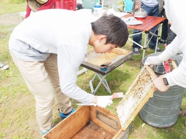 NPO法人さいたまミツバチプロジェクトの養蜂場で採密作業