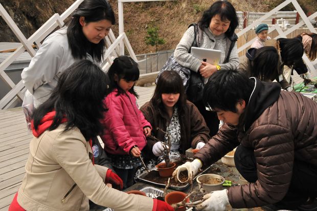 盆栽桜を釜石市内にお住いの皆さんと学生が一緒に株分けし、希望される方へ配布する、桜プロジェクトの様子