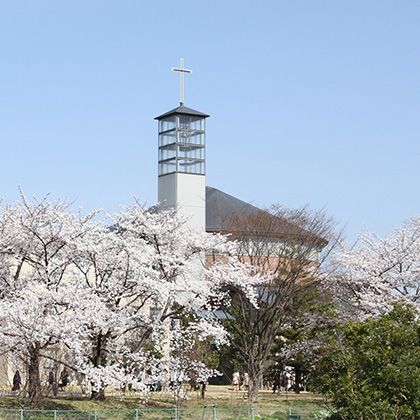 sakura_chapel_420.jpg