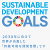 SDG.png