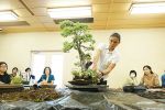 03_18bonsai_DSC00804.JPG